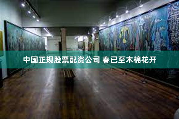 中国正规股票配资公司 春已至木棉花开