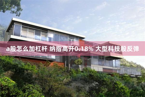 a股怎么加杠杆 纳指高开0.18% 大型科技股反弹