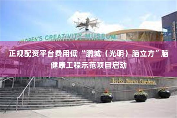 正规配资平台费用低 “鹏城（光明）脑立方”脑健康工程示范项目启动