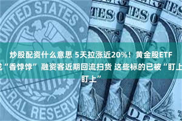 炒股配资什么意思 5天拉涨近20%！黄金股ETF成“香饽饽” 融资客近期回流扫货 这些标的已被“盯上”