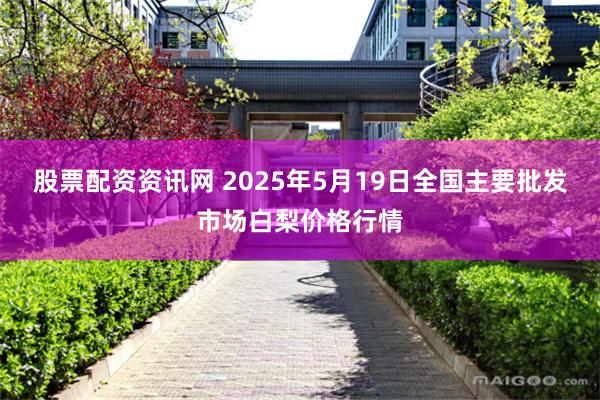 股票配资资讯网 2025年5月19日全国主要批发市场白梨价格行情