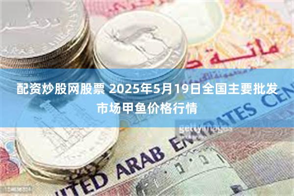 配资炒股网股票 2025年5月19日全国主要批发市场甲鱼价格行情