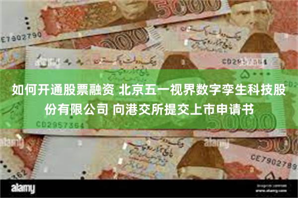 如何开通股票融资 北京五一视界数字孪生科技股份有限公司 向港交所提交上市申请书