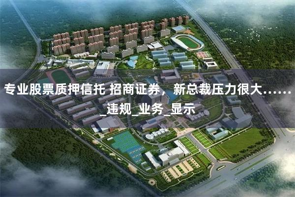 专业股票质押信托 招商证券，新总裁压力很大……_违规_业务_显示