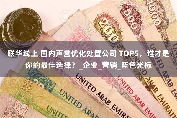 联华线上 国内声誉优化处置公司 TOP5，谁才是你的最佳选择？_企业_营销_蓝色光标