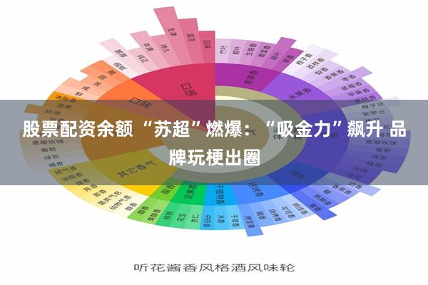 股票配资余额 “苏超”燃爆：“吸金力”飙升 品牌玩梗出圈
