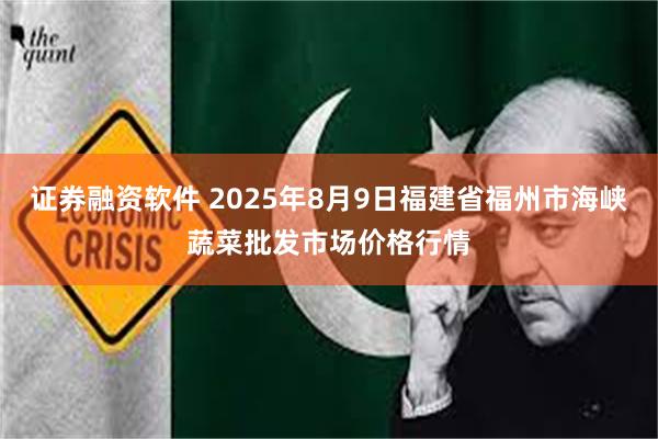 证券融资软件 2025年8月9日福建省福州市海峡蔬菜批发市场价格行情
