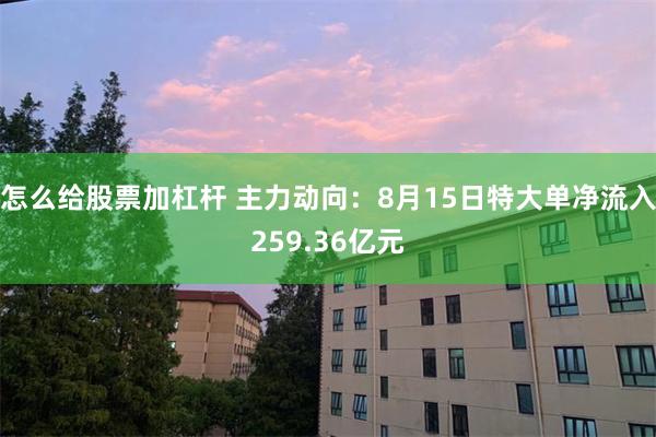 怎么给股票加杠杆 主力动向：8月15日特大单净流入259.36亿元