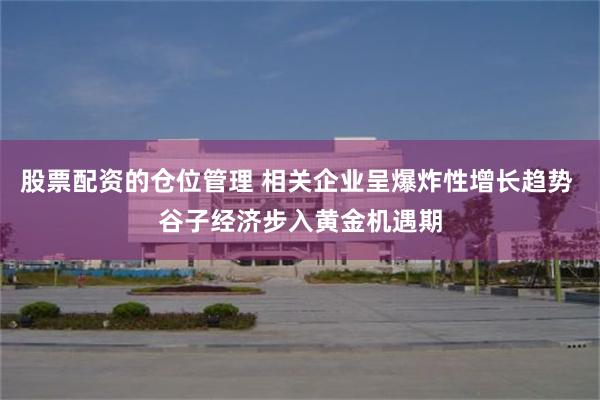 股票配资的仓位管理 相关企业呈爆炸性增长趋势 谷子经济步入黄金机遇期