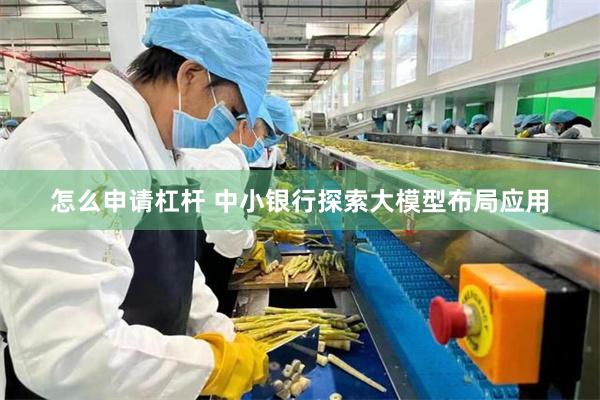 怎么申请杠杆 中小银行探索大模型布局应用